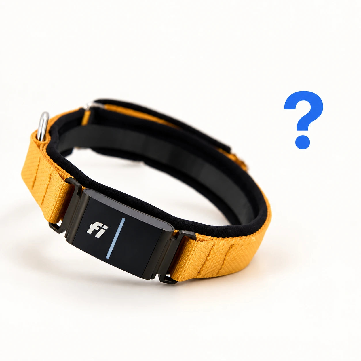 Explore Fi GPS tracking with an Elite Dog Gear collar