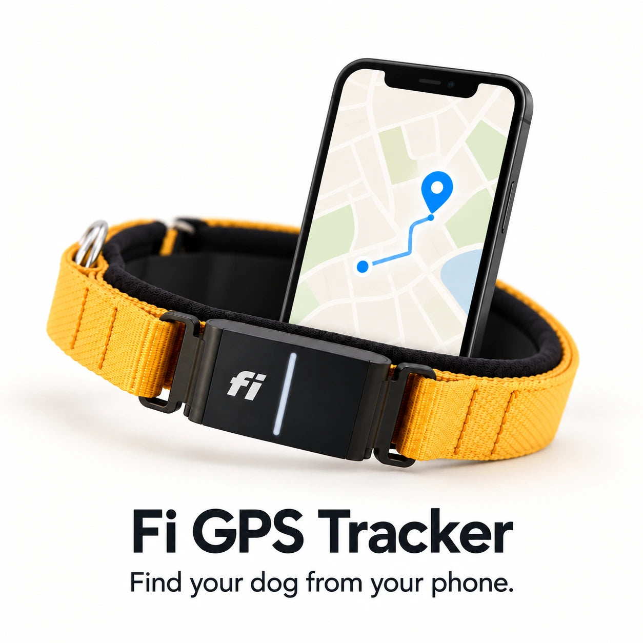 Elite Dog Gear collar with Fi GPS tracker